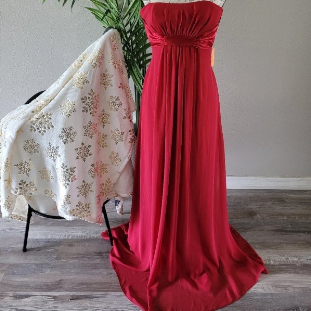 Exquisite Red Gown - Alexia Designs